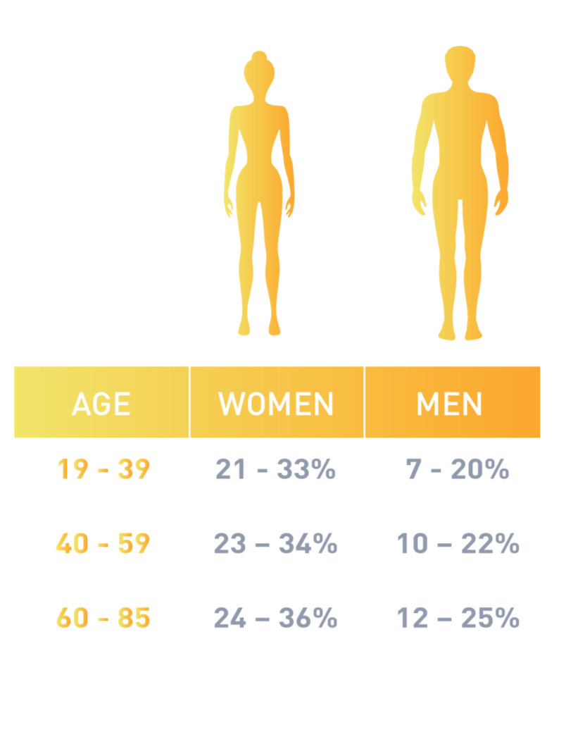 Muscle mass composition