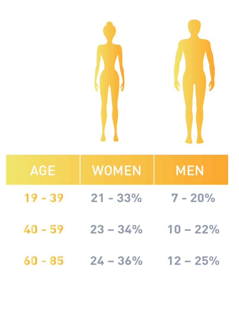 How Much Muscle Mass Should A Woman Have Essential Guide