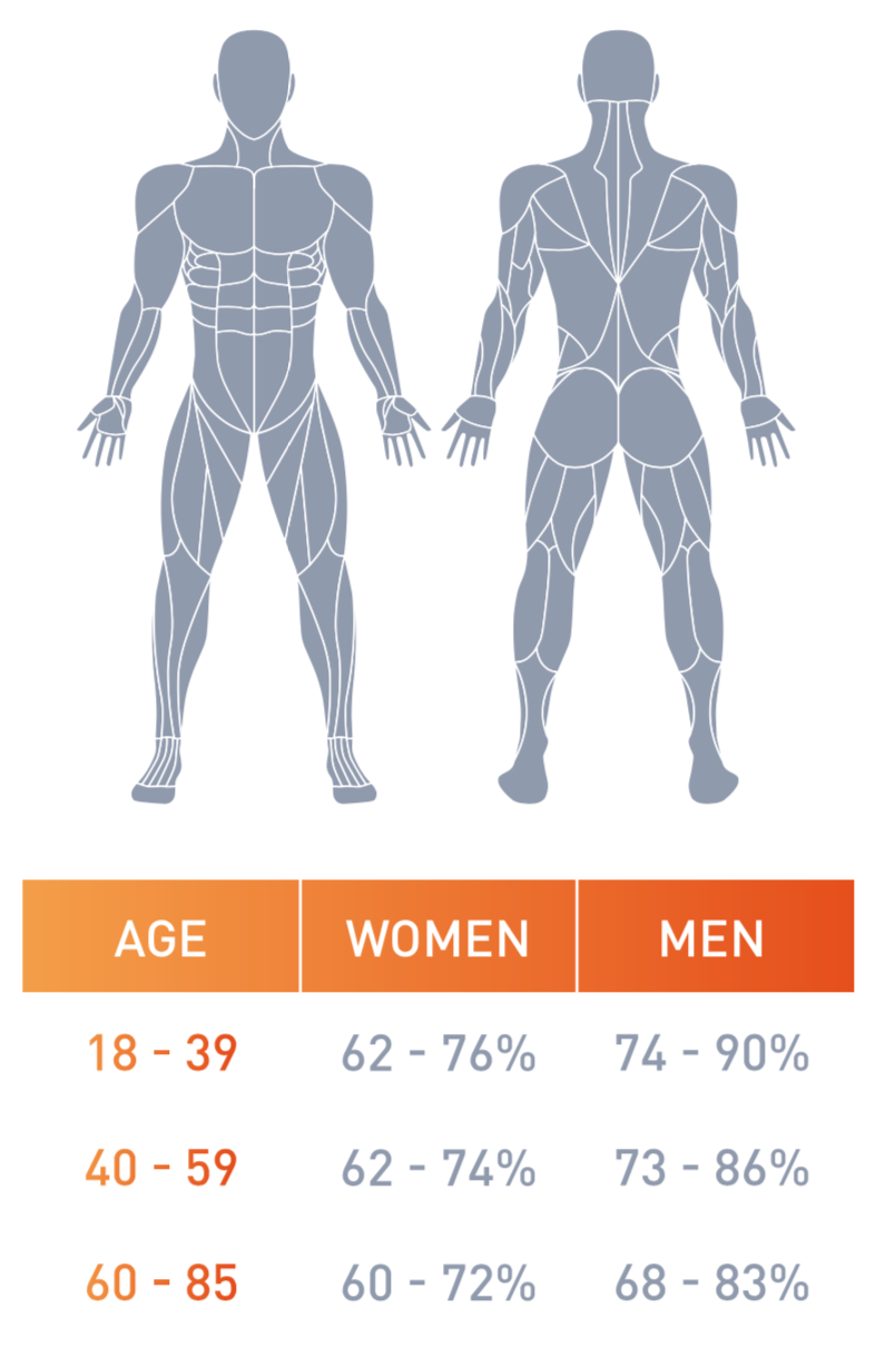 Everything about muscle mass percentage with charts - FITNESS